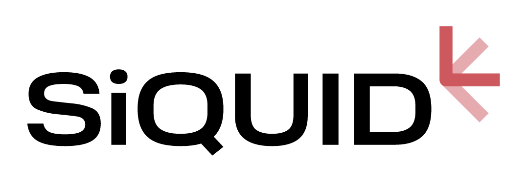 SiQUID – Slovenian Quantum Communication Infrastructure Demonstration